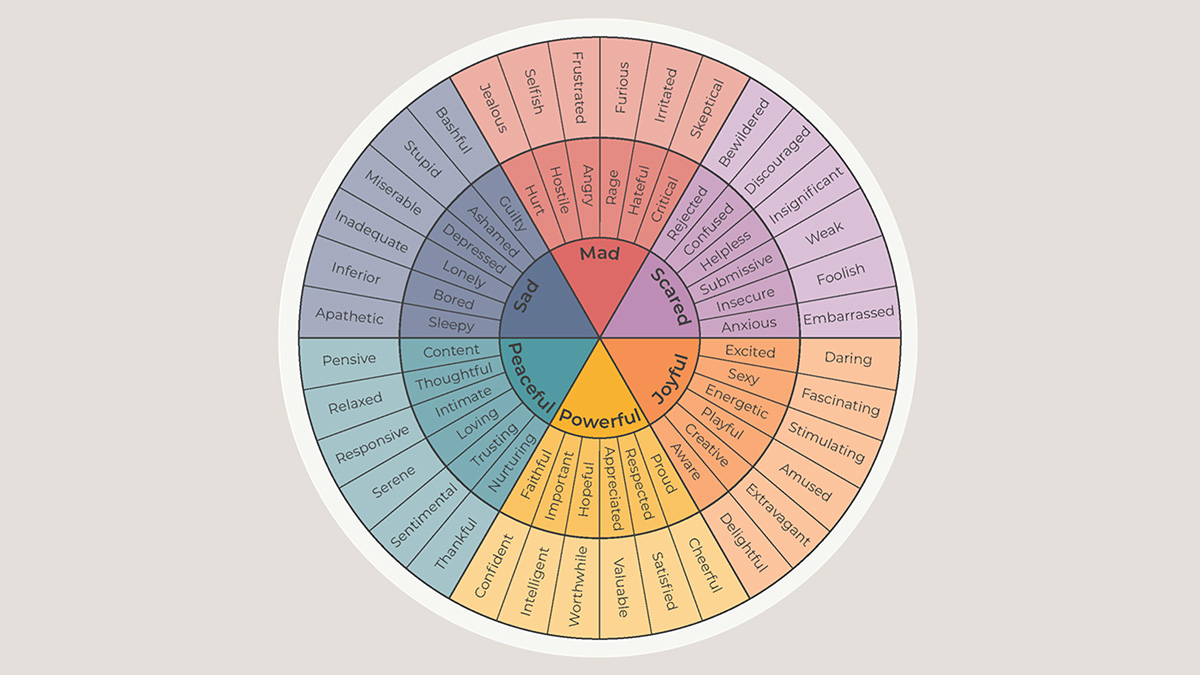 A circle divided into sections with different feelings written inside it