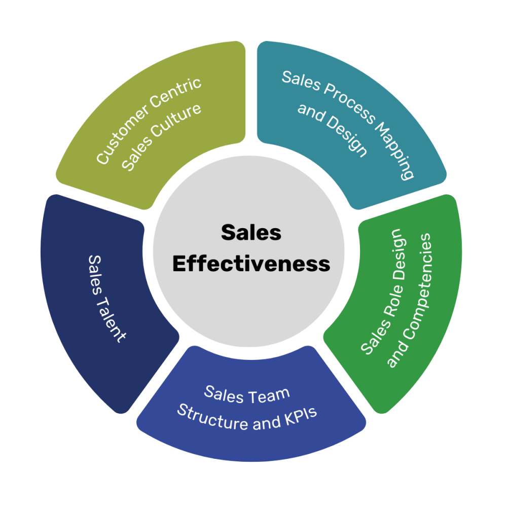 Sales effectiveness graphic with 5 segments